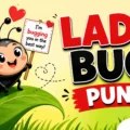 lady bug puns