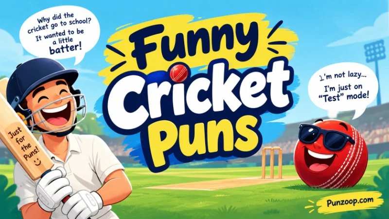 Funny Cricket Puns