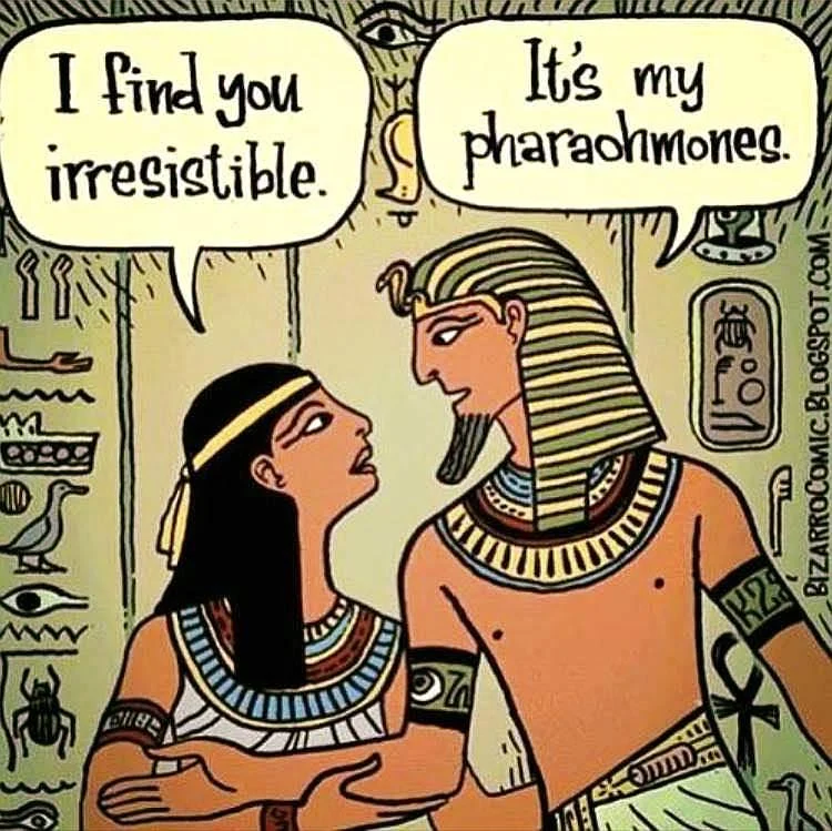 Egypt Puns for Reddit 